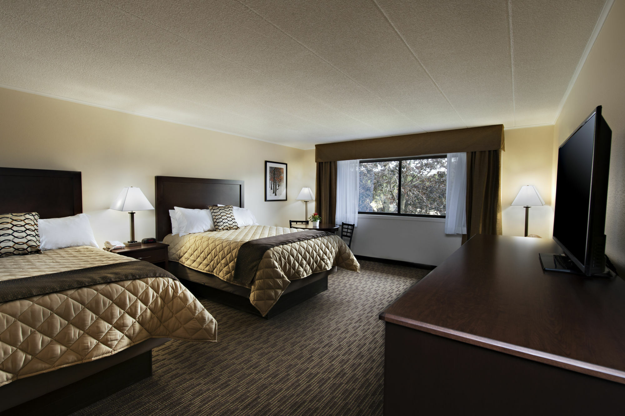 Chestnut Mountain Resort Galena Exterior foto